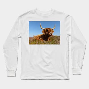 Highland Cow Long Sleeve T-Shirt